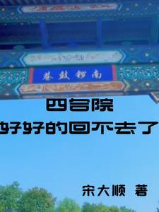 四合院好好的回不去了宋大顺