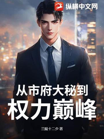 从市府大秘到权力巅峰洗礼先生