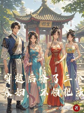 穿越后分了三个寡妇，不领犯法